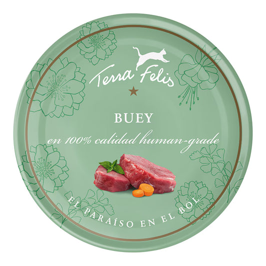 TERRA FELIS GRAIN FREE - Buey 80g