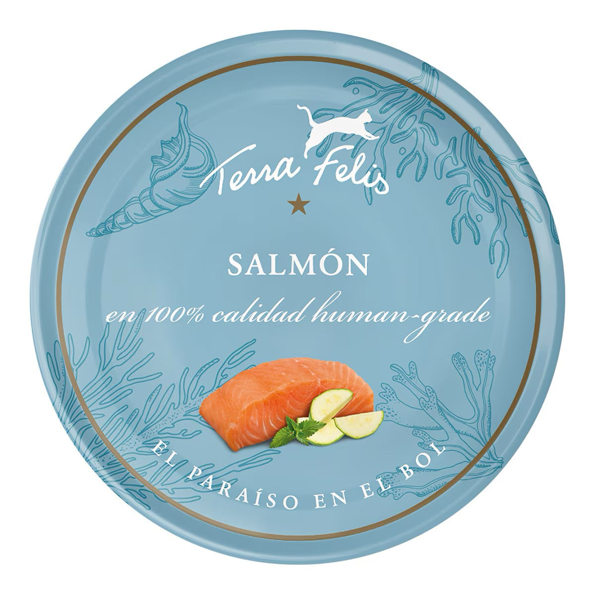TERRA FELIS GRAIN FREE - Salmón 80g