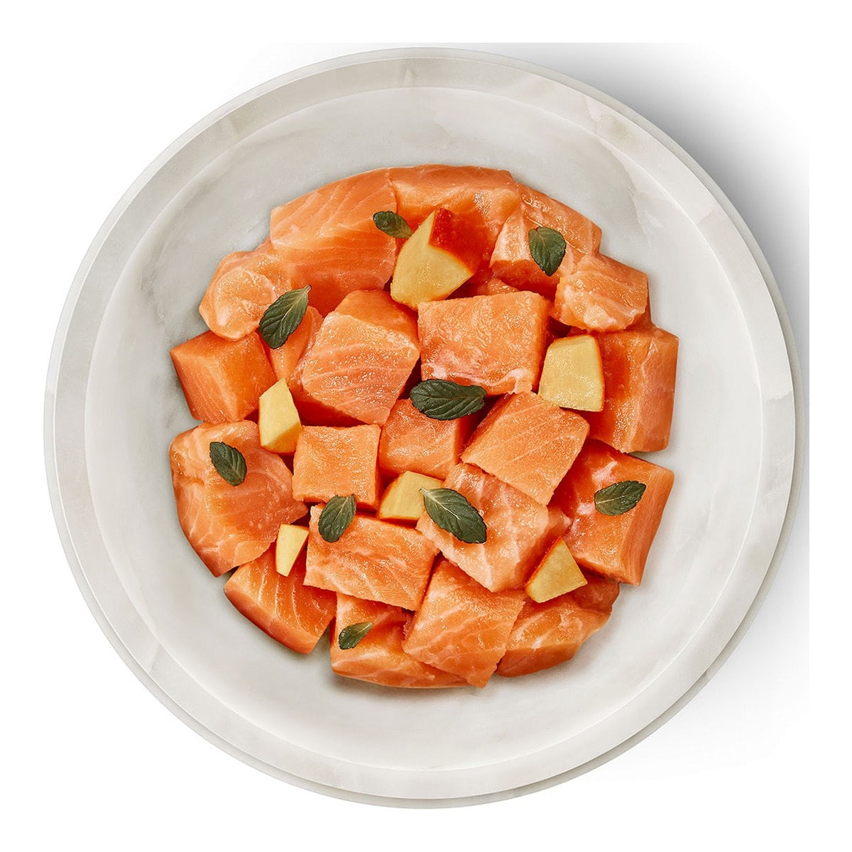 TERRA FELIS GRAIN FREE - Salmón 80g